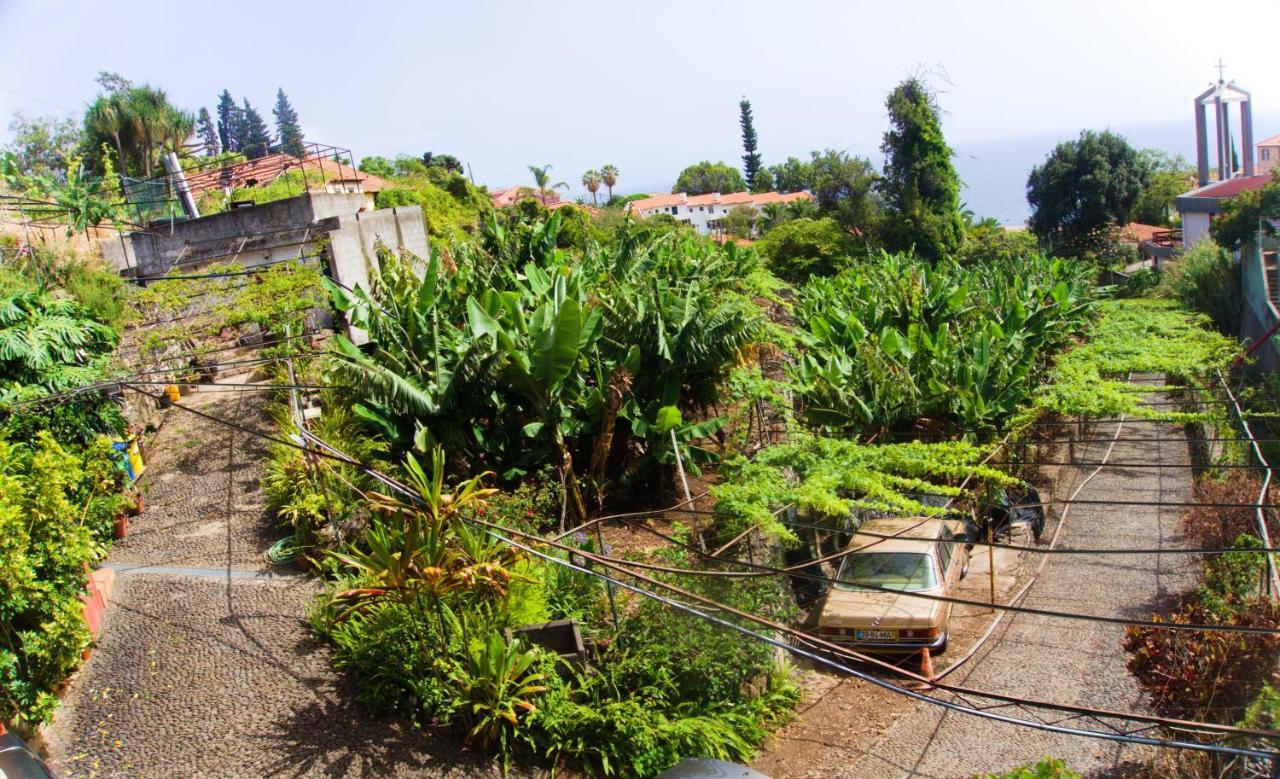 Villa Catanho Φουνκάλ Εξωτερικό φωτογραφία