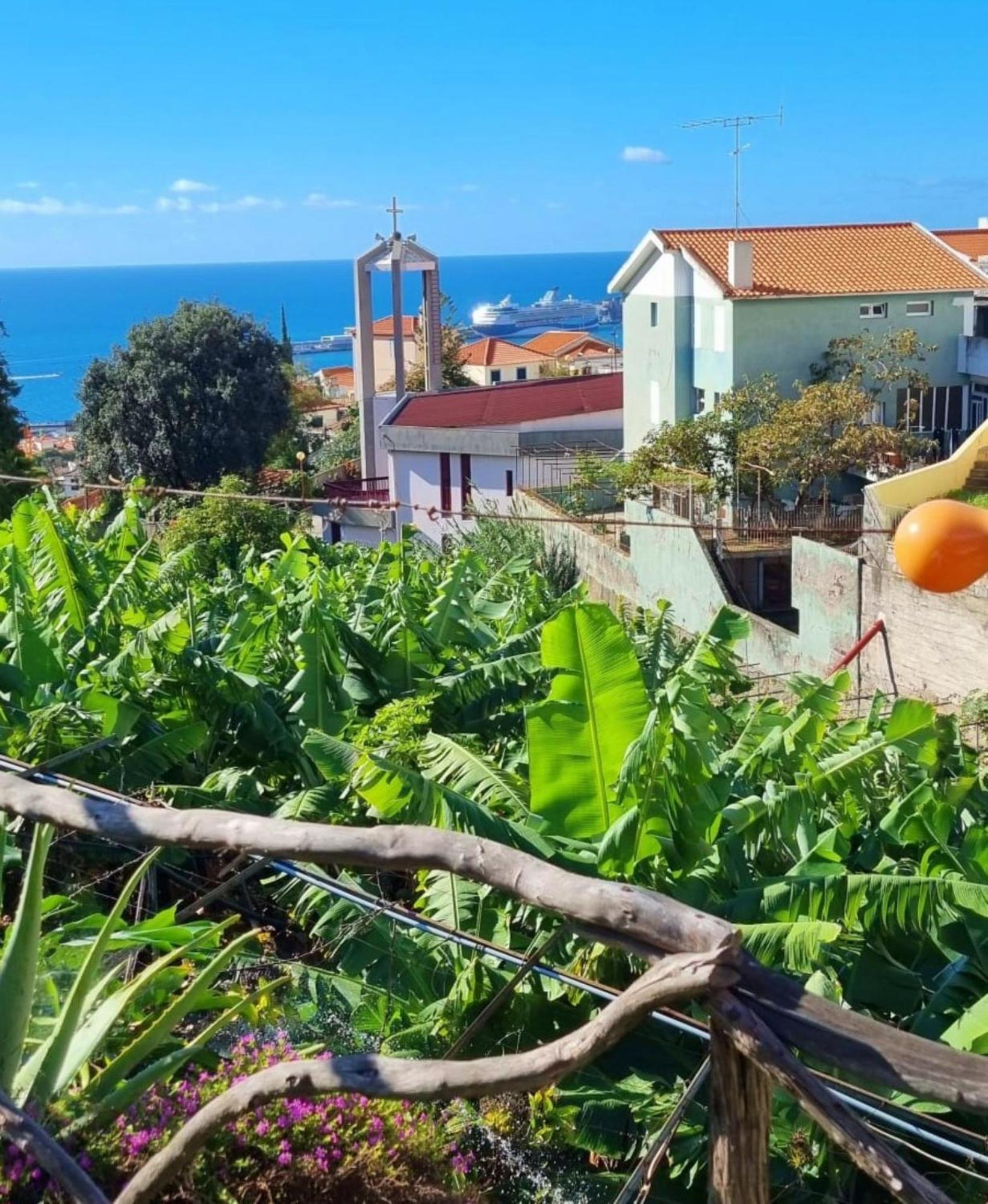 Villa Catanho Φουνκάλ Εξωτερικό φωτογραφία