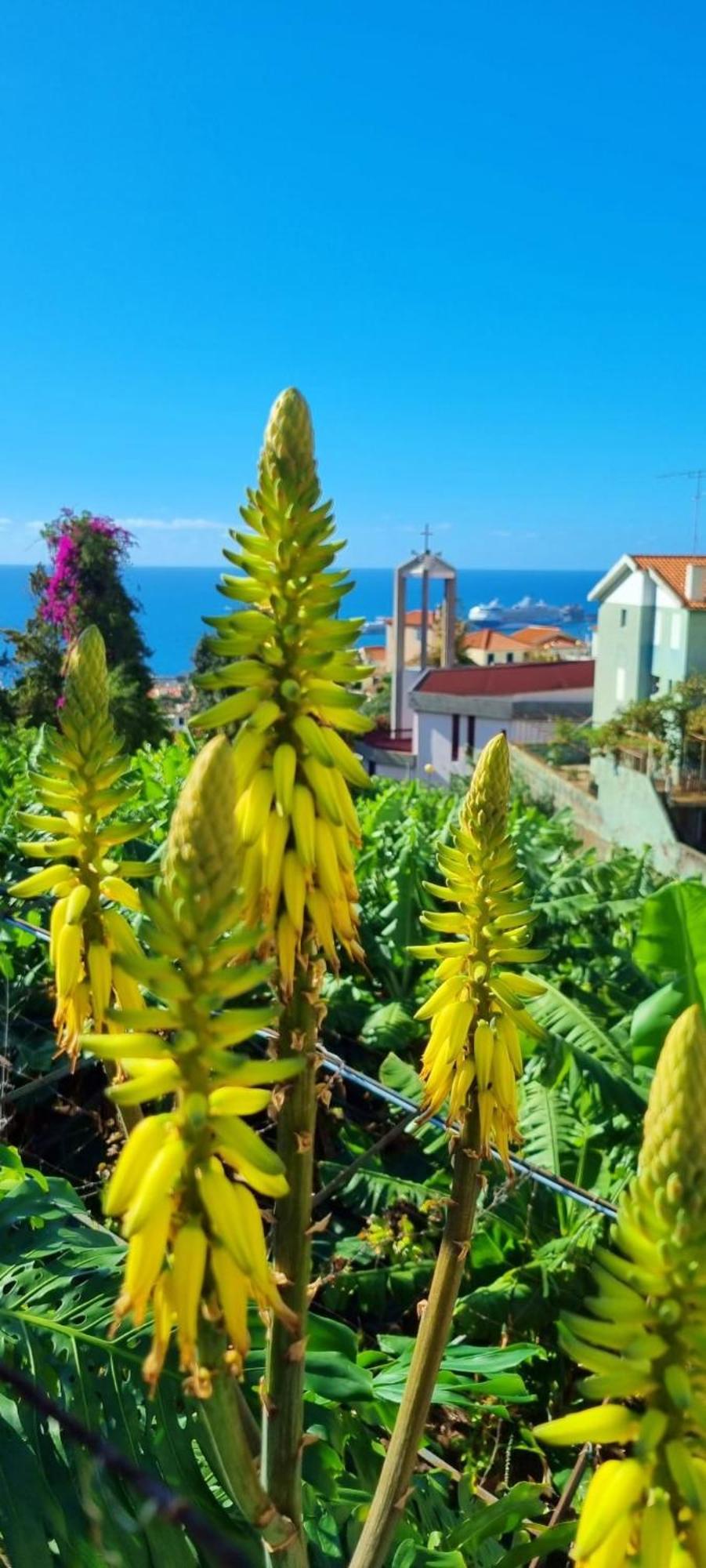 Villa Catanho Φουνκάλ Εξωτερικό φωτογραφία