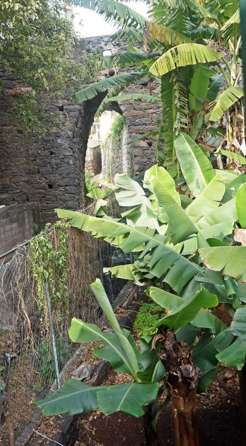 Villa Catanho Φουνκάλ Εξωτερικό φωτογραφία